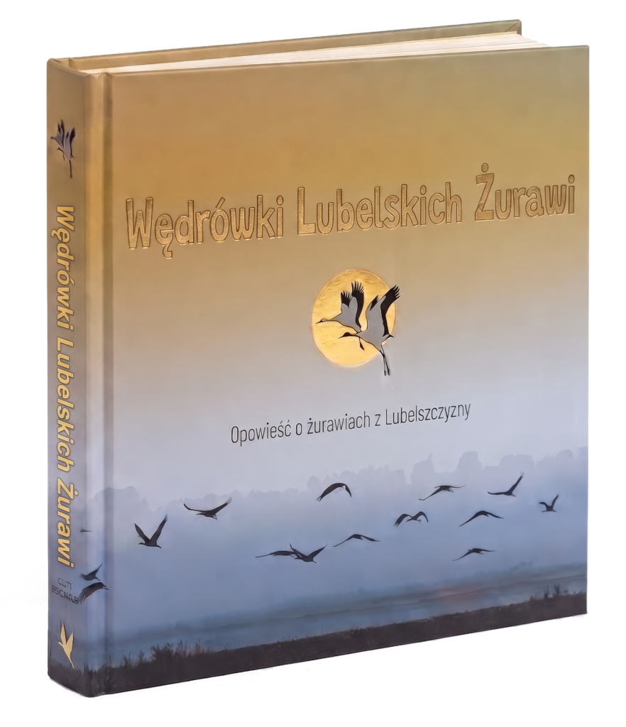Wędrówki Lubelskich Żurawi