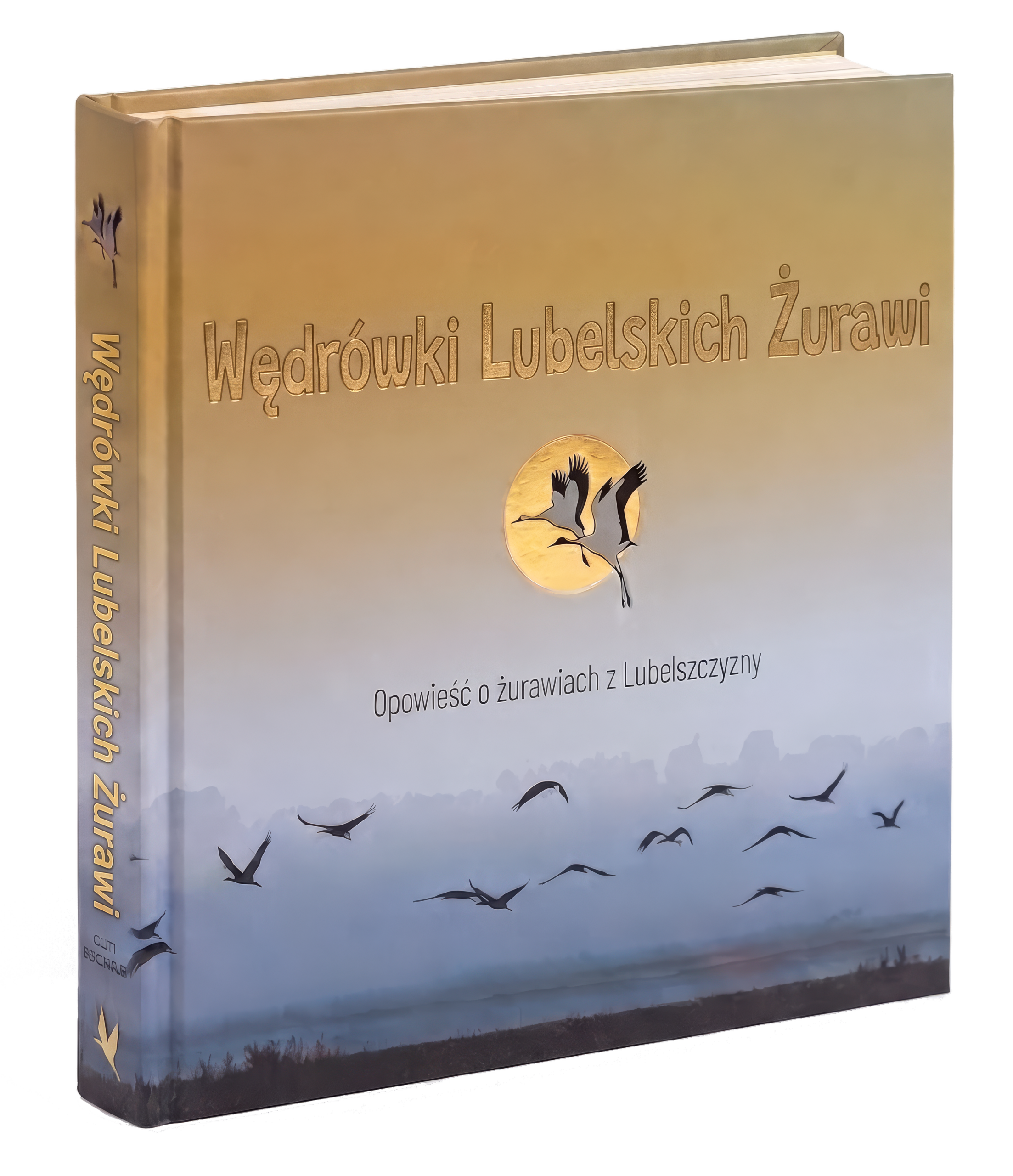 Wędrówki Lubelskich Żurawi