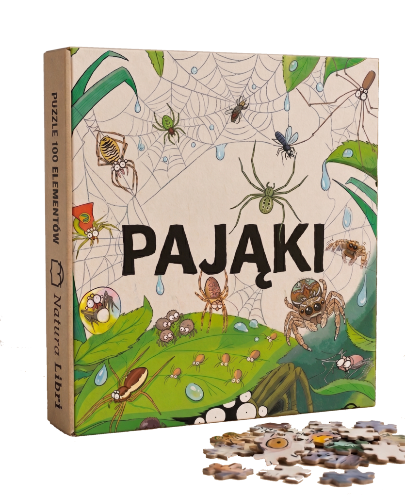 Pająki