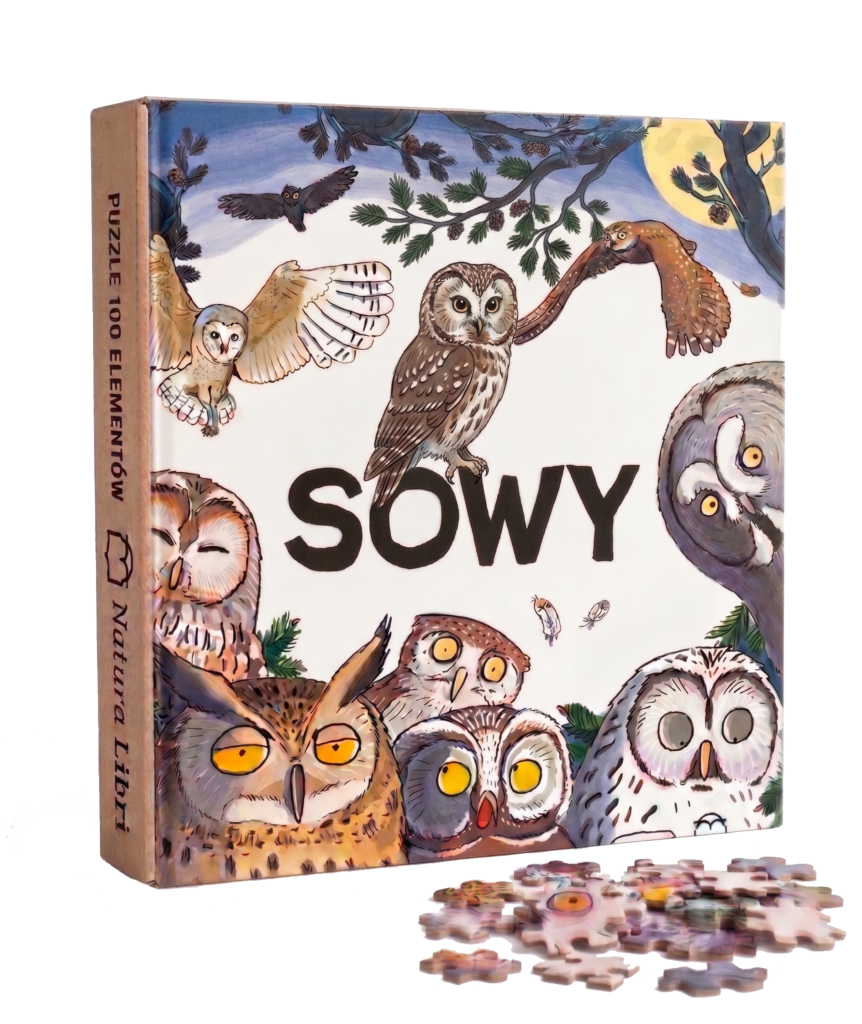 Sowy