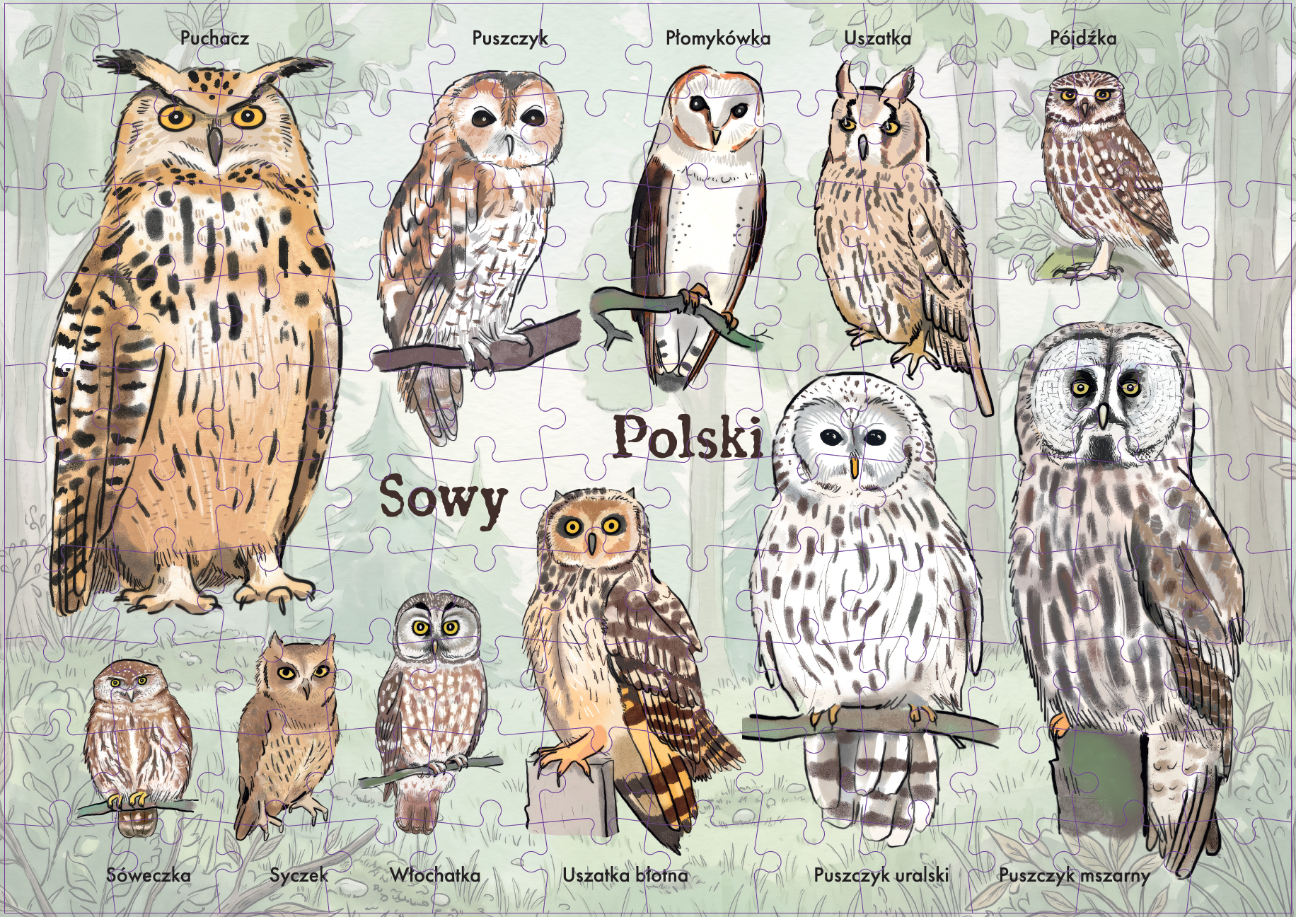 Puzzle edukacyjne Sowy Polski - obrazek 2