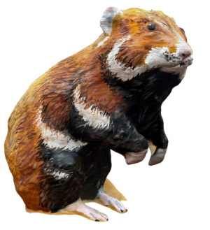Figurka 3D Chomik Europejski
