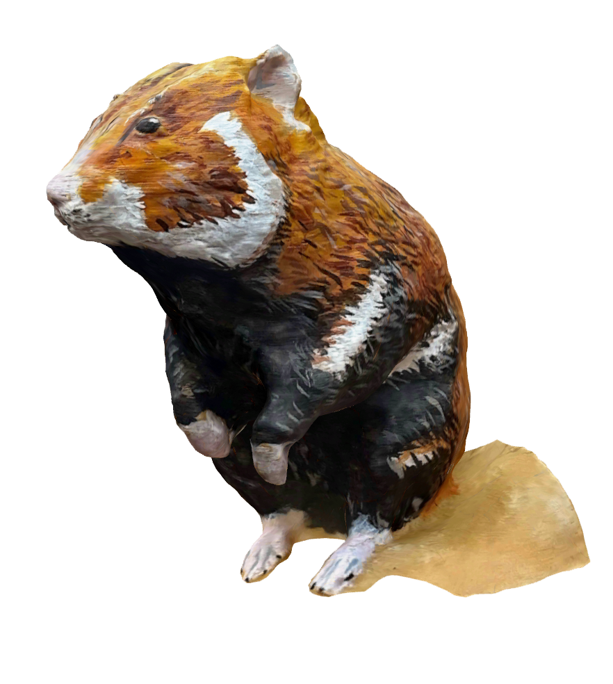 Figurka 3D Chomik Europejski - obrazek 2